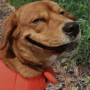 Meet your Posher, Gunga slippery